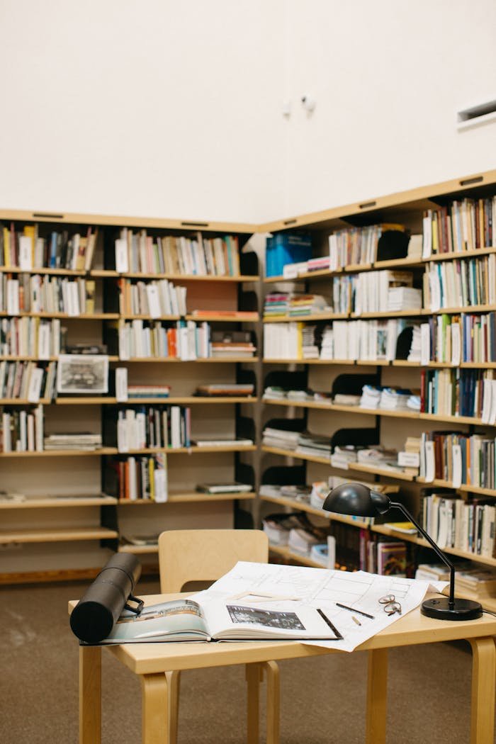 Free stock photo of academic, academic environment, afro hair